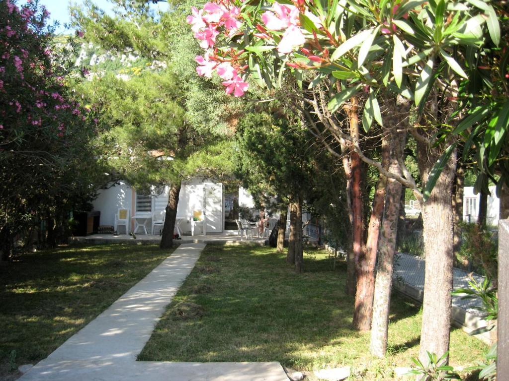 Vila Branka Čanj Εξωτερικό φωτογραφία